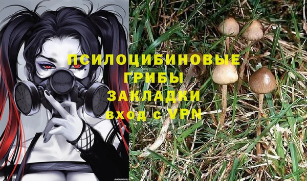 первитин Костерёво